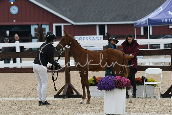 HSM_6284
