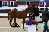 HSM_6275