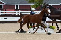 HSM_6280