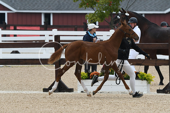 HSM_6280