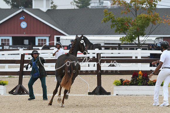 HSM_6359