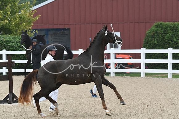 HSM_6365