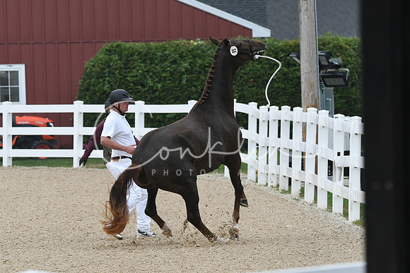 HSM_6367