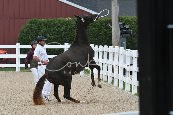 HSM_6368