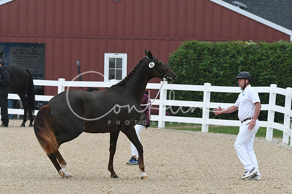 HSM_6370