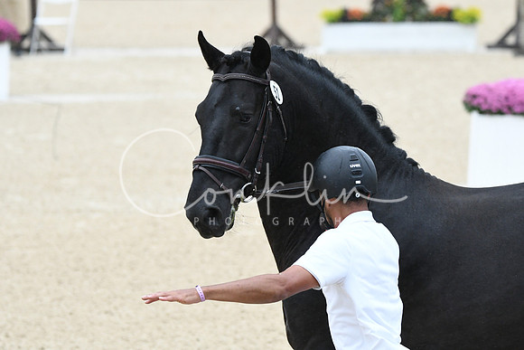HSM_5846
