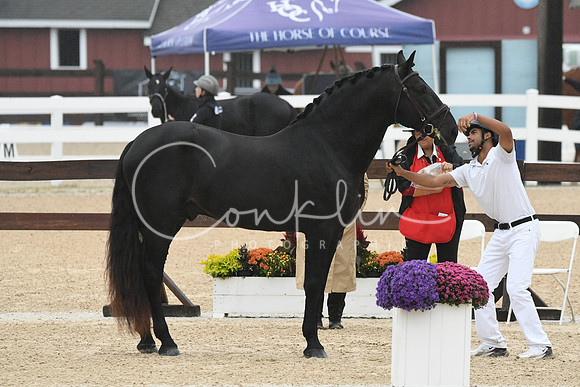 HSM_5826