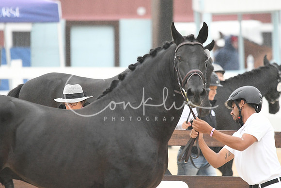 HSM_5829