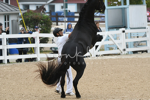 HSM_5834