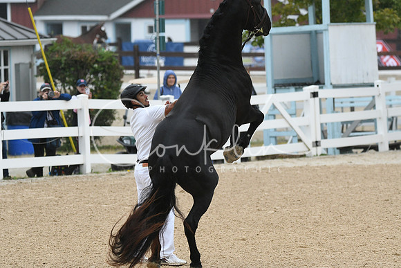 HSM_5835