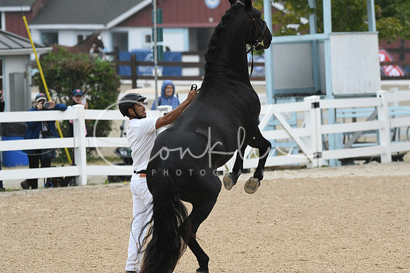 HSM_5836
