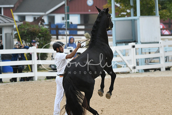 HSM_5837