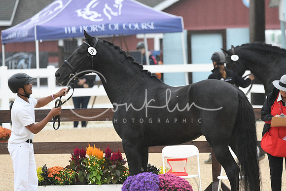 HSM_5884
