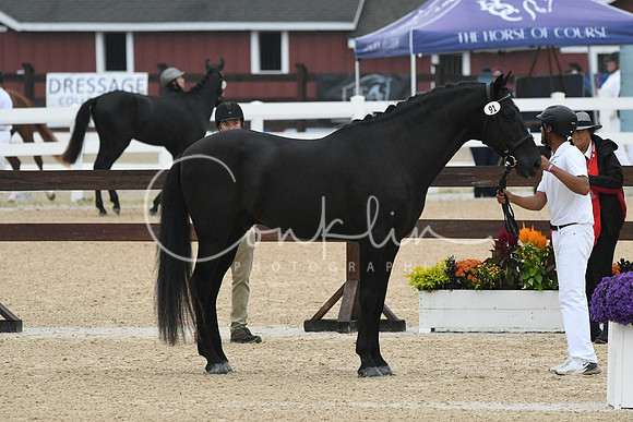 HSM_5868