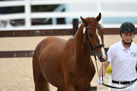 HSM_5889