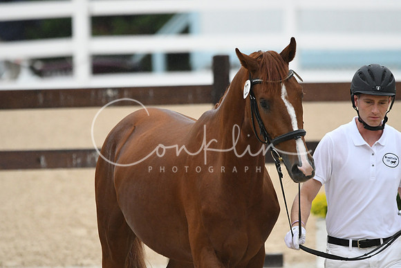 HSM_5889