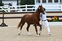 HSM_5892