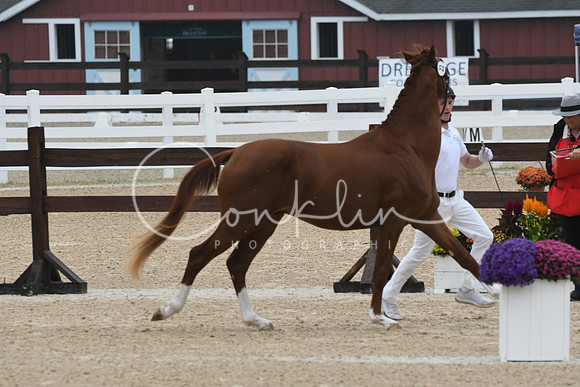 HSM_5894