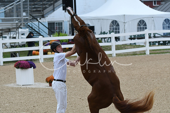 HSM_5943