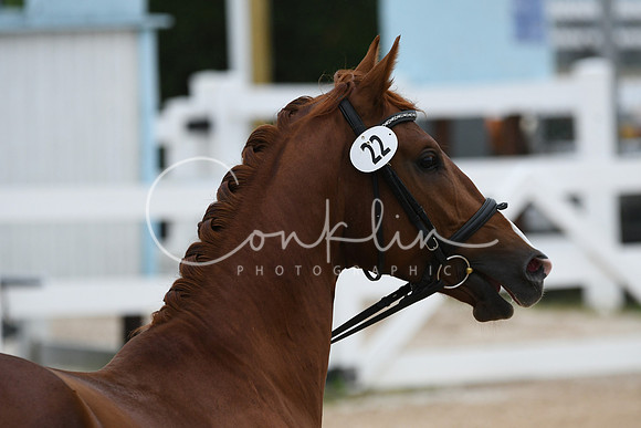 HSM_5945