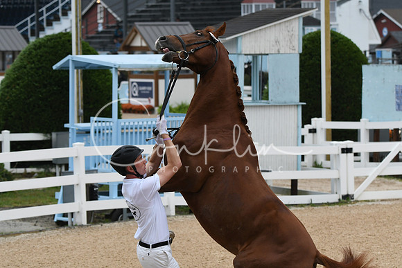 HSM_5949