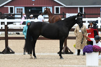 HSM_5907