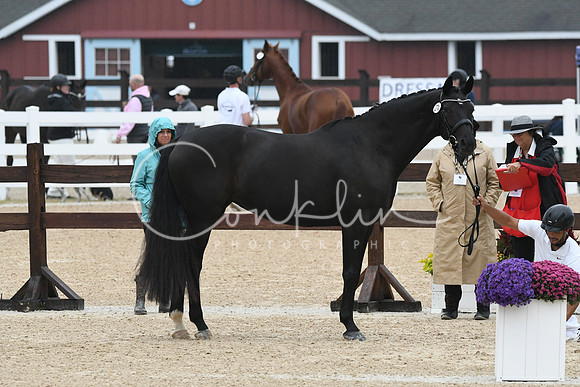 HSM_5907