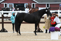 HSM_5908