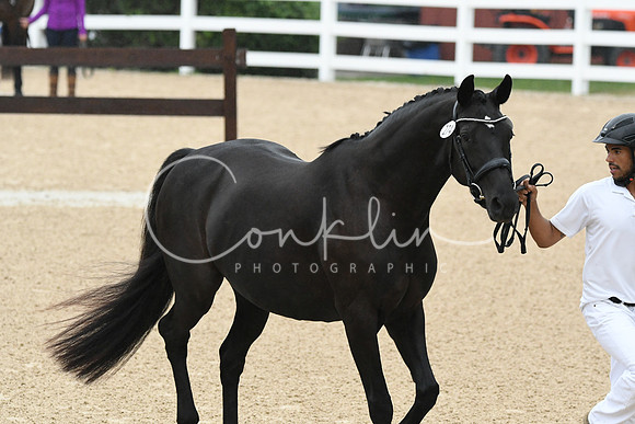 HSM_5918