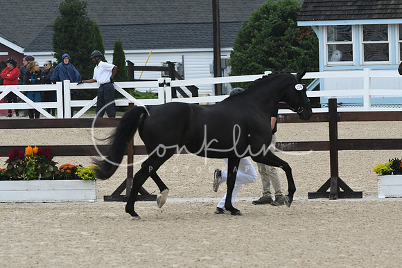 HSM_5920