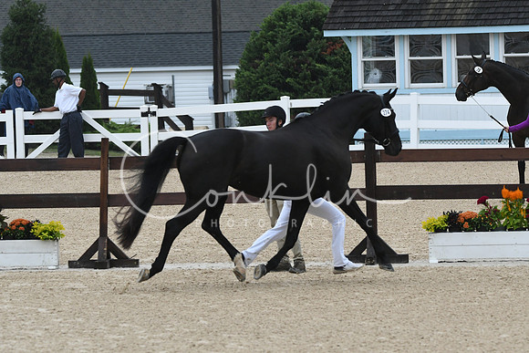 HSM_5921