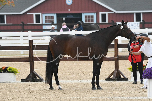 HSM_5928