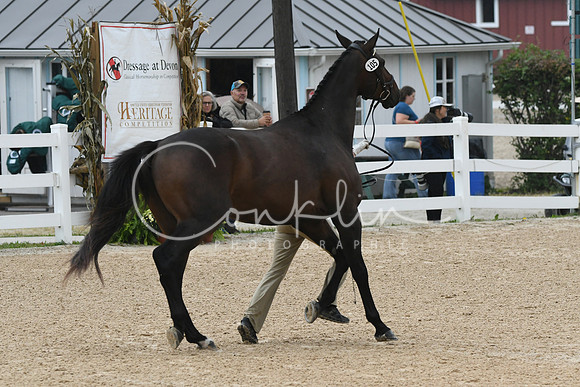 HSM_5956