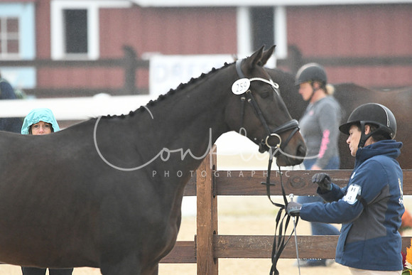 HSM_5958