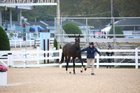 BW183892