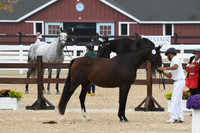 HSM_5977