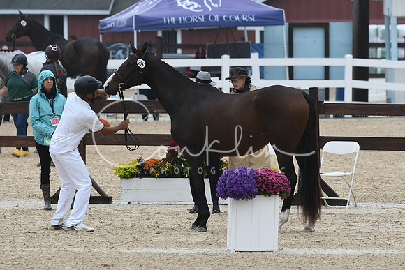 HSM_5984