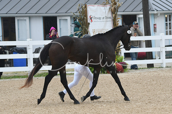 HSM_5972