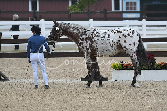 HSM_5823