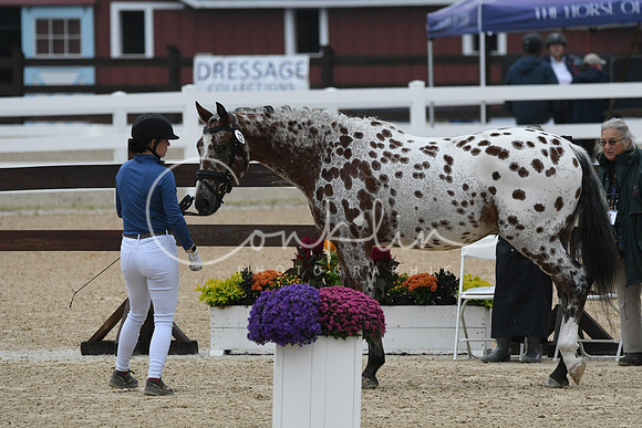 HSM_5818