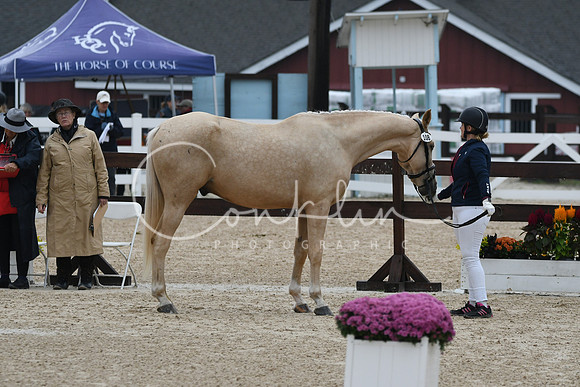 HSM_6604
