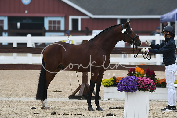 HSM_6691