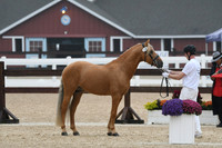 HSM_6572