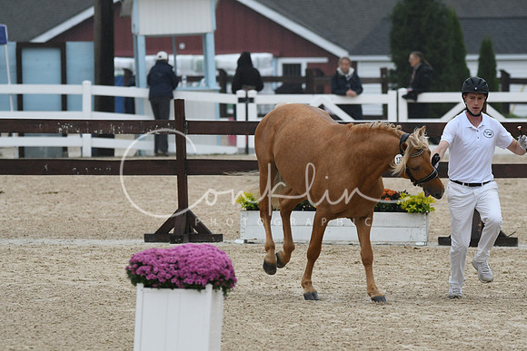 HSM_6582