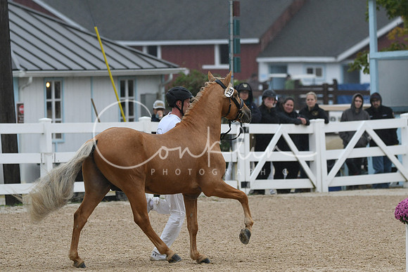 HSM_6583