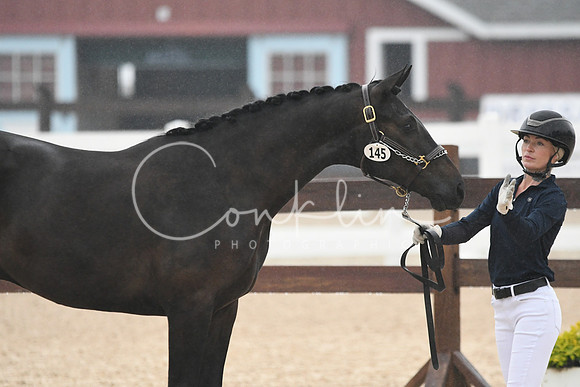 HSM_6591