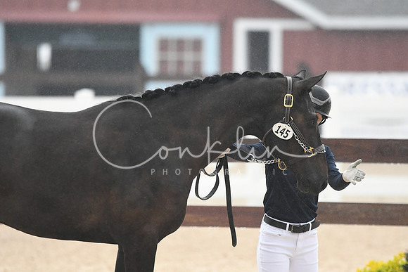 HSM_6593