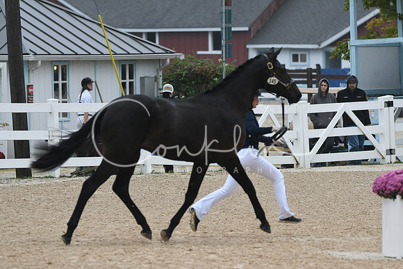 HSM_6595