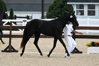 HSM_6467