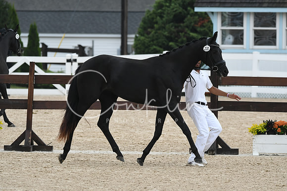 HSM_6467